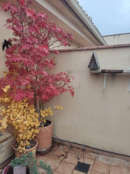 Apartamento Luminoso Con Jardin La Zubia  Buitenkant foto